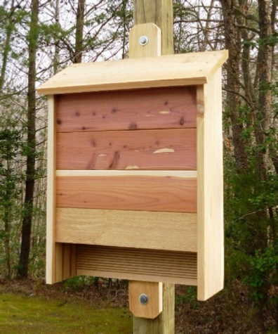 How to Build a Cedar Bat House. Plans Include Photos.